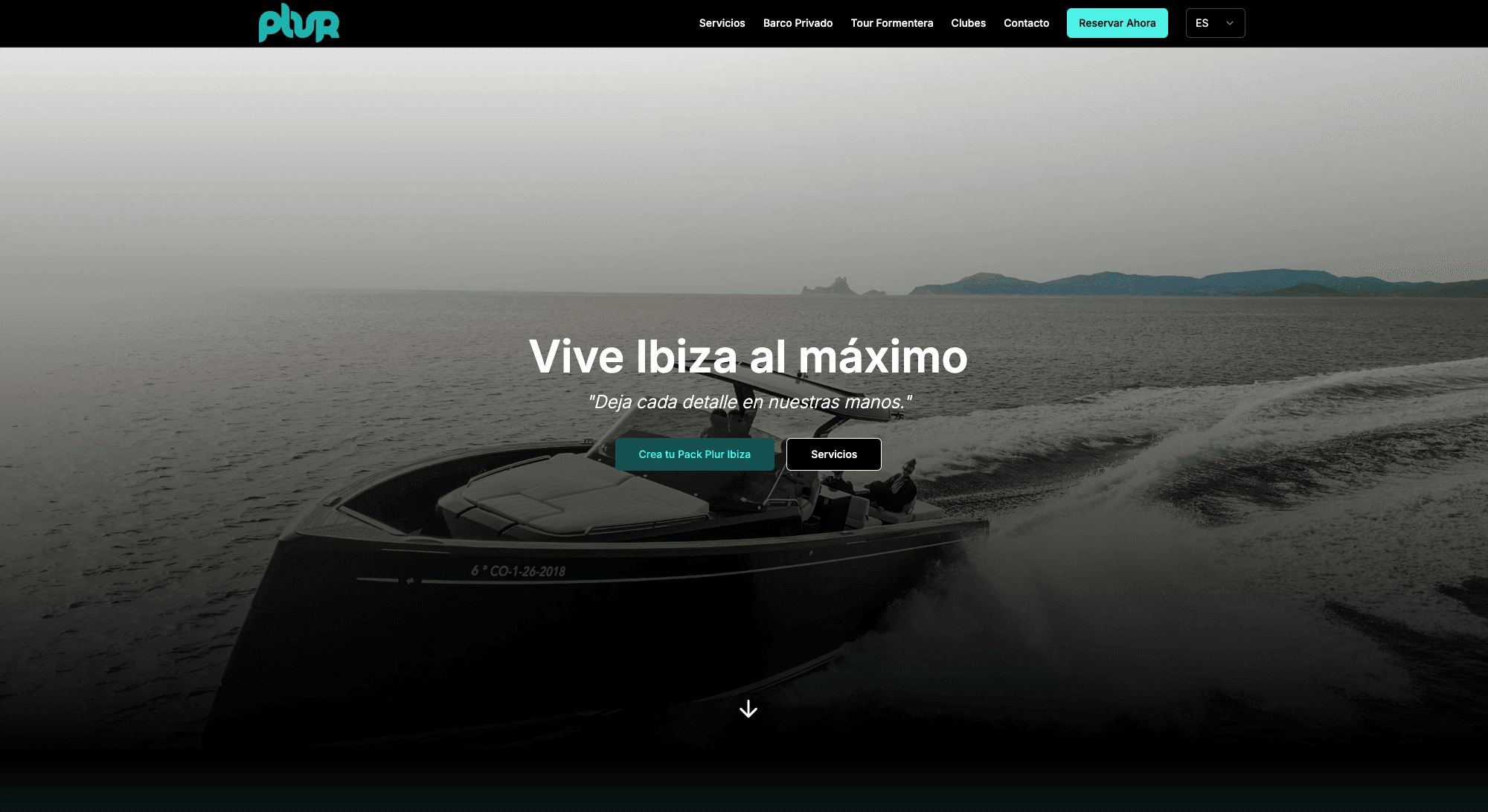 Web informativa